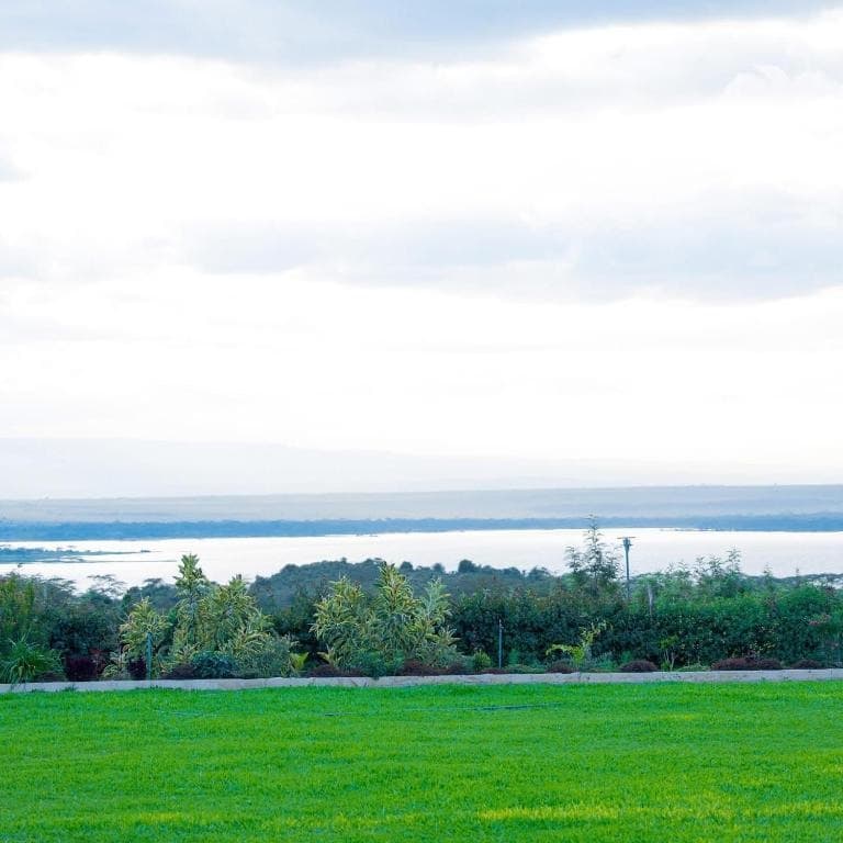 Lake-View Dining & Cuisine