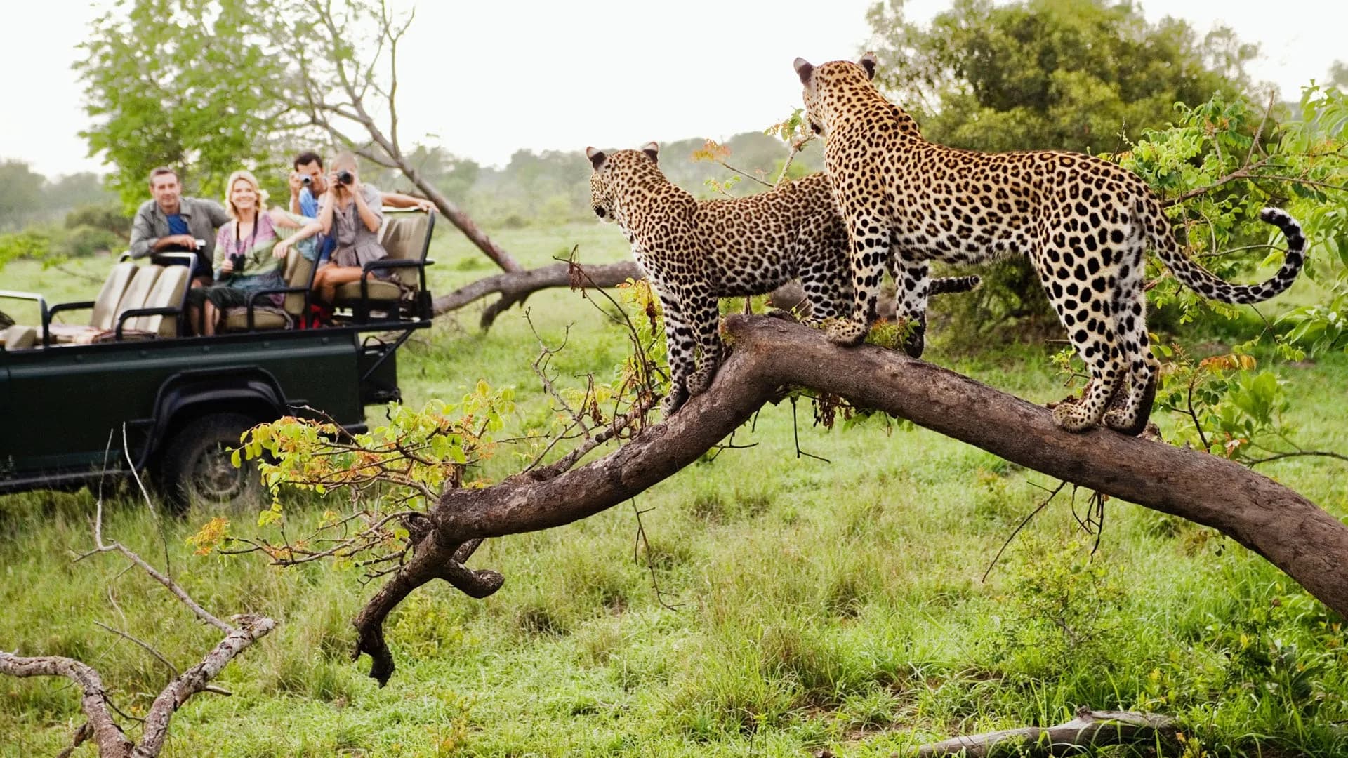 Experiences at Lake Elementaita