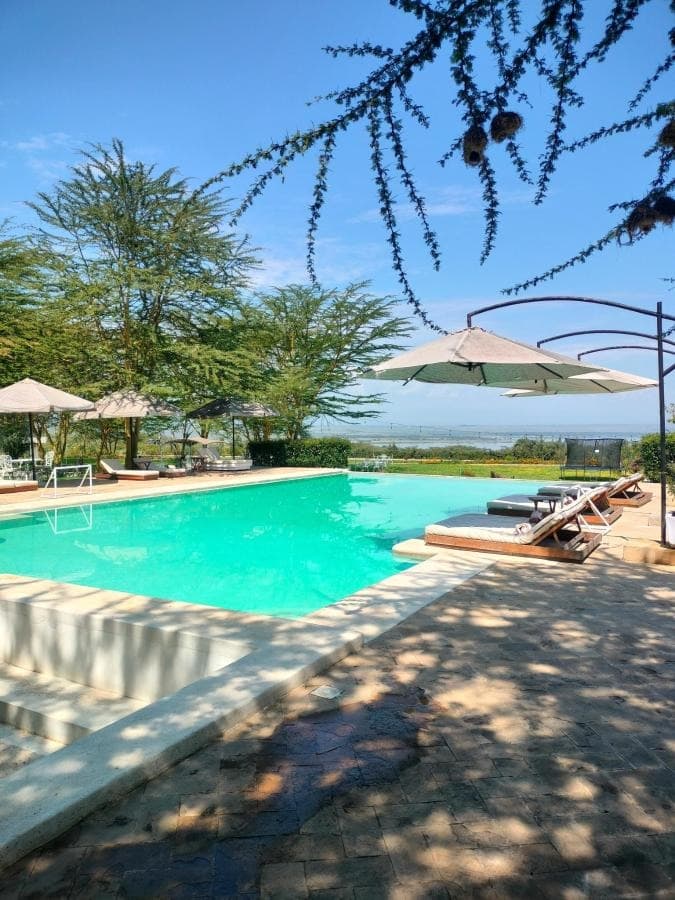 Lake Elementaita Manor - 586750334 (dining)