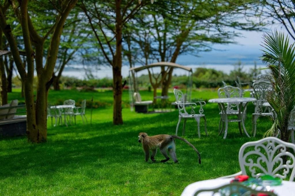 Lake Elementaita Manor Gallery